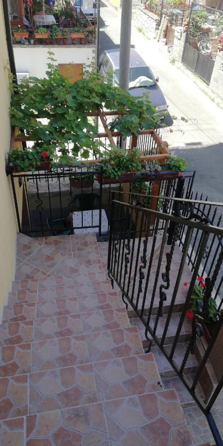 Guest House Ares Sozopol Esterno foto